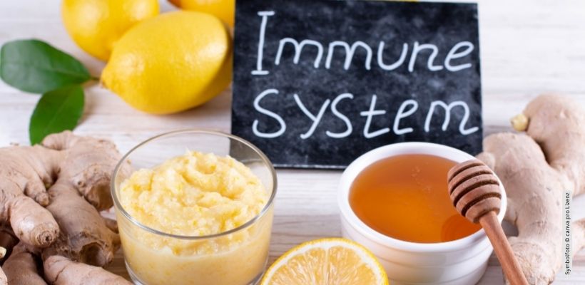 Top 5 natürliche Methoden zur Stärkung des Immunsystems
